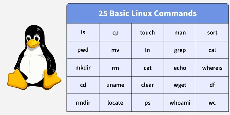 25_basic_linux_commands.webp
