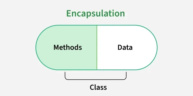Encapsulation.webp
